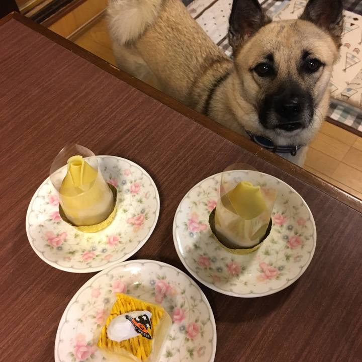 9c1f6fc0 0925 41ff 9a09 ad83b80b3c94