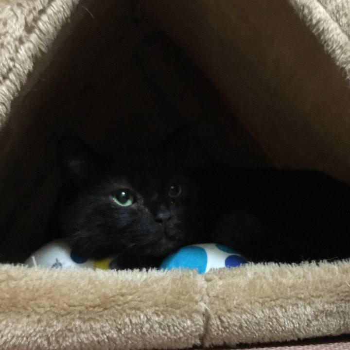 9c1fcc76 ddb6 483b 8edd 1fbb58e777f1