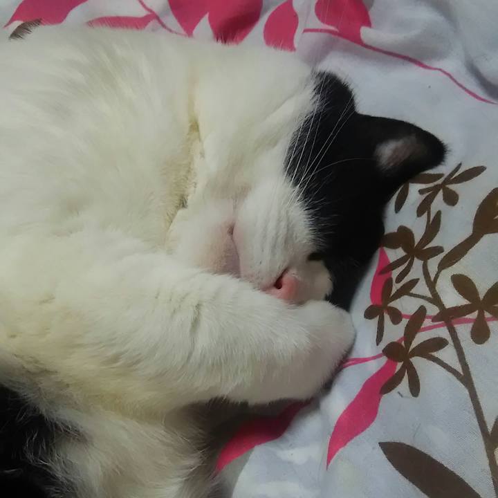 9c1ff0ab a491 4bf4 bede e5f6cc1af729