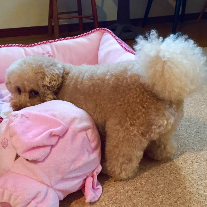 9c200d49 9a67 49df bd69 1877b7442855