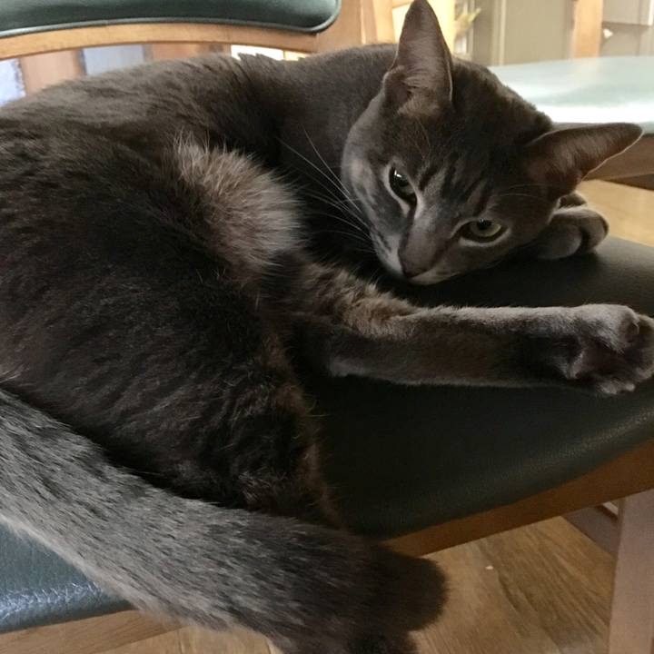 9c20dc0d 56c2 4c03 b59c 13b47240a723