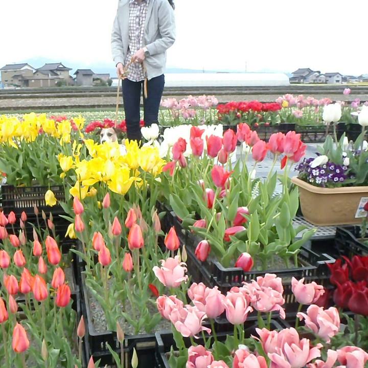 9c211279 a4b4 4441 a8e1 78d683abd09a