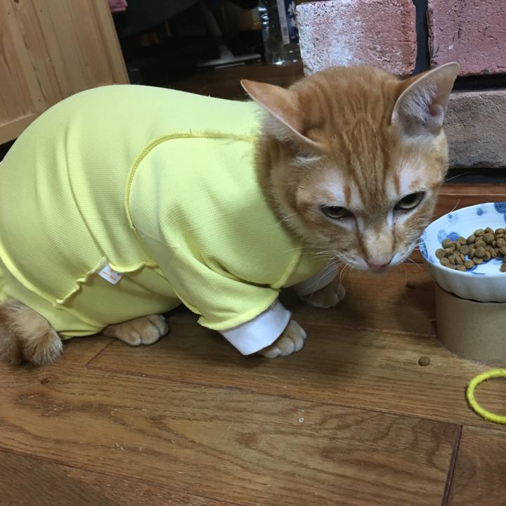 9c212425 7cd9 4722 8d04 4b487fc3b027