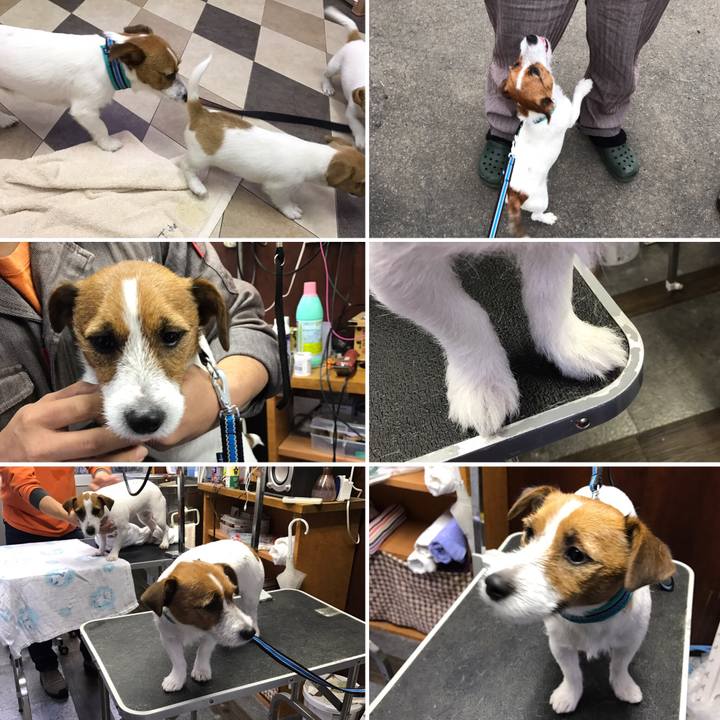 9c21496f dff9 4e27 9fde 1edd66b10836