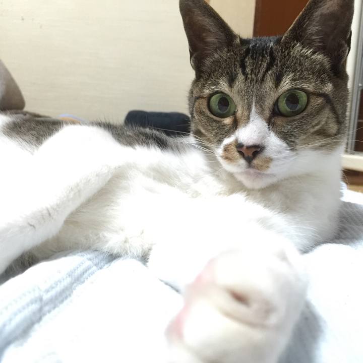 9c21e5ff 4d96 49e6 8d37 d644ba091304