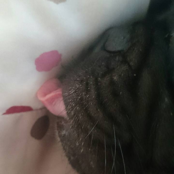 9c22b4ee 0482 4e0b abe3 3b7592d9d956