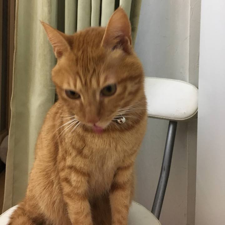 9c22b887 3a3d 43da 98fc 3303a10cfb46