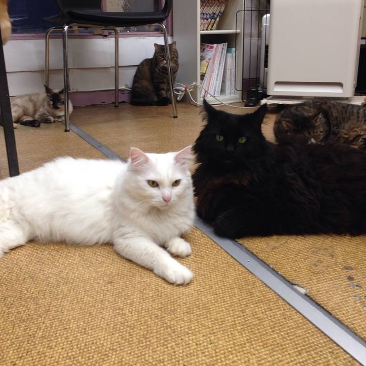 9c22bbf1 ac6c 43d5 b10a d17d131c2dd6