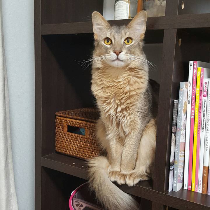 9c22d628 2f71 4534 b70c d2305254e11d