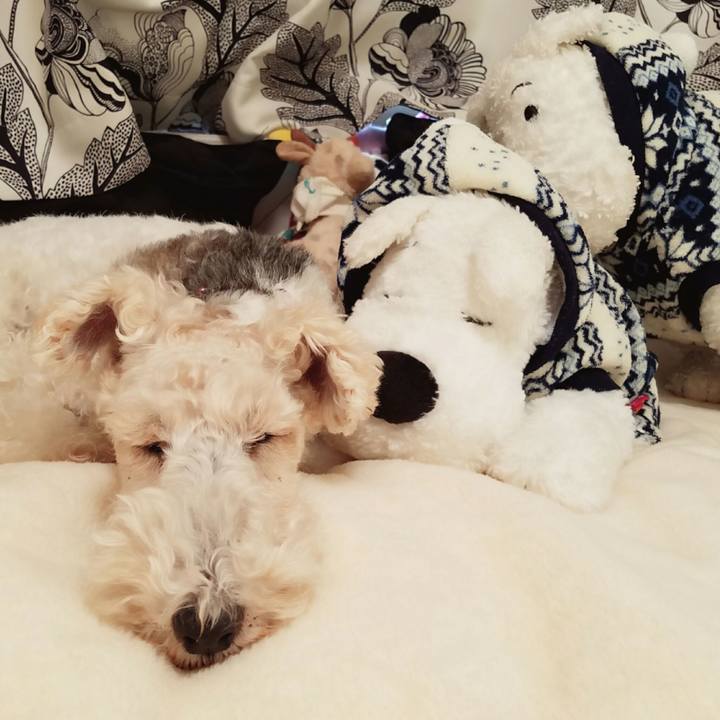 9c23ea9d 62f7 46f2 b095 38925d15c636