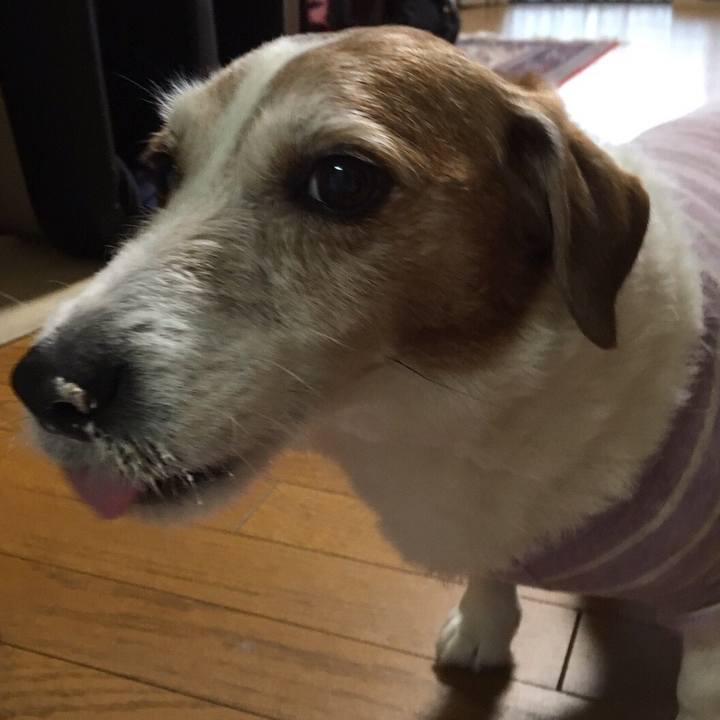 9c2471b0 63e0 496f a249 c7b4c31c9374