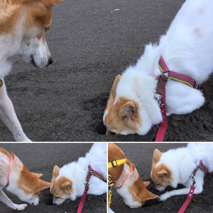 9c2478c4 18da 4eb6 a424 ee07b92f88e7