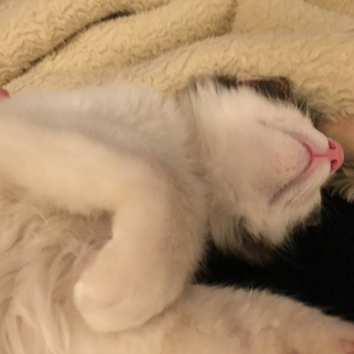 9c25b5a7 ba94 4d12 a45d cf3d100d9fd8