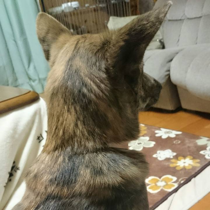 9c263f90 f040 4fd3 9b75 4ff3de381c20