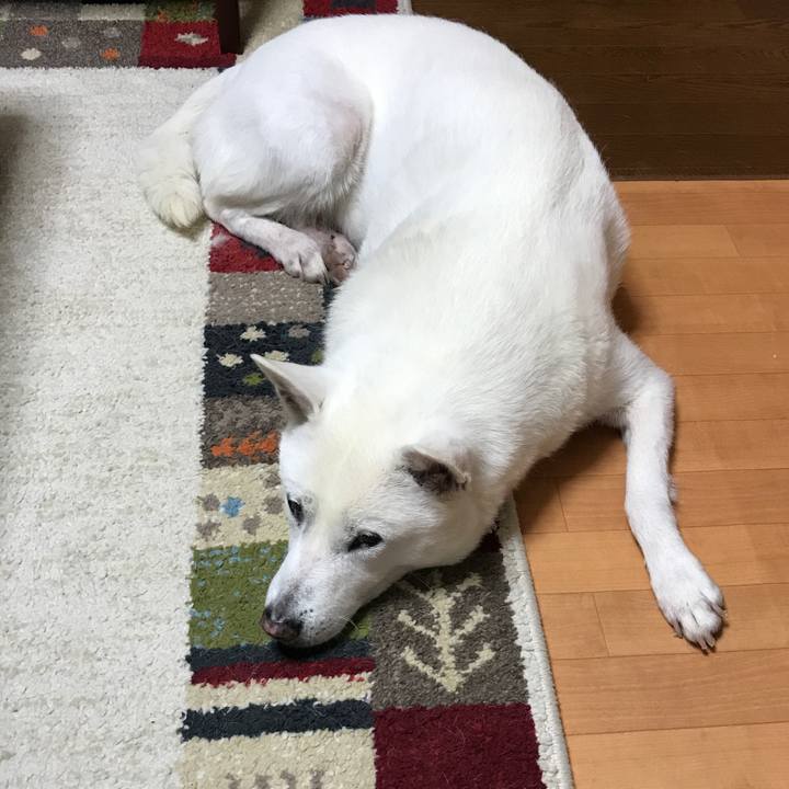 9c26b706 8adc 4d02 8ae4 29ec87aa42ea