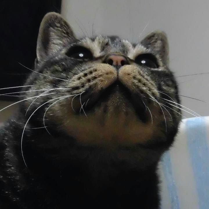 9c26f089 ca3a 4931 91cd 58d481de7bbe