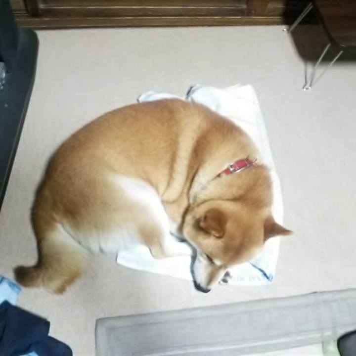 9c27308d 9023 49fd 94fd de1b8d5b8d84