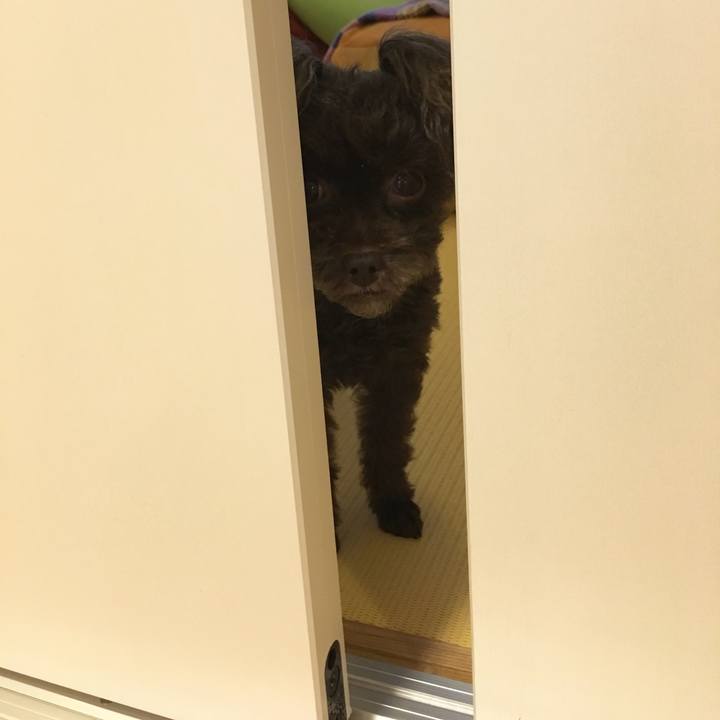 9c27454b f011 4d4e 9b4a a30fee589108