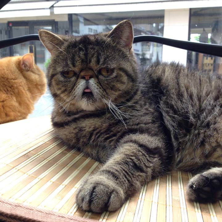 9c27f43d a104 4d59 bb88 ca35a81760a8