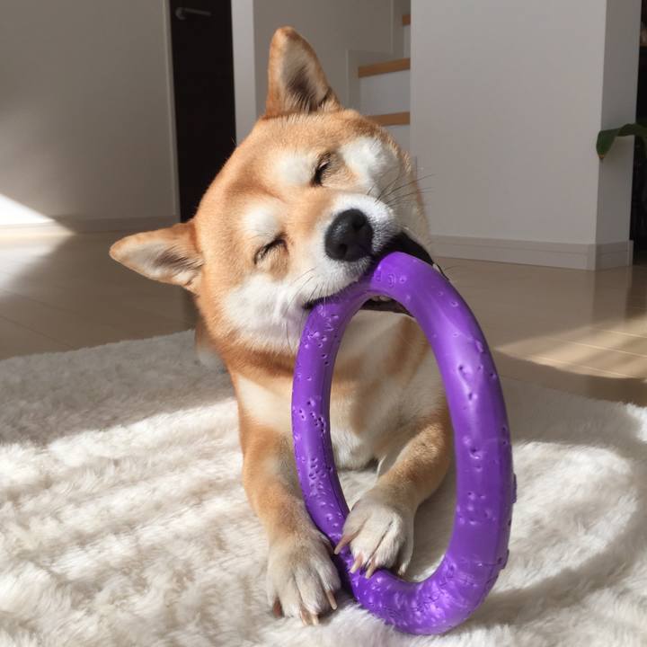 9c28f3d4 04ad 412f bc0c a4b8f587a54f