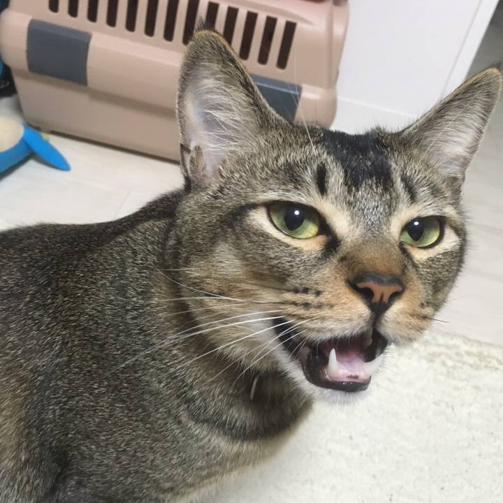 9c290602 bb25 4f9f bc2e 05ac6045d505