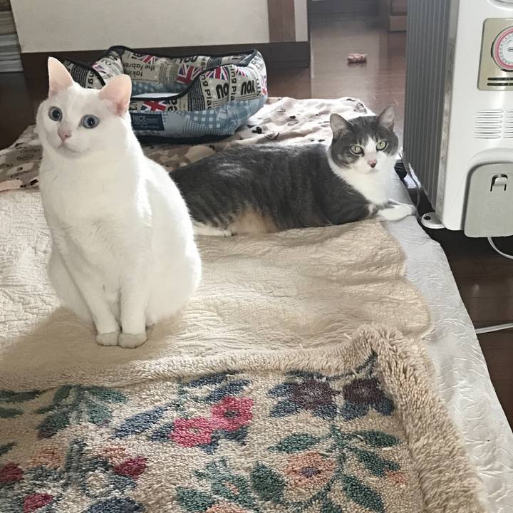 9c297048 f2a4 4f8d a408 6008652fd920