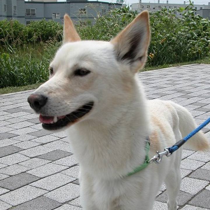 9c2993ab 9693 4583 b0b6 8da1cc44b463