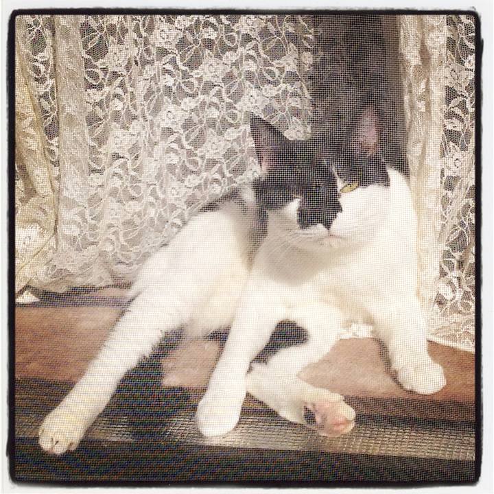 9c29aba6 cc2c 4b3f 9cbd 93b18d49e967