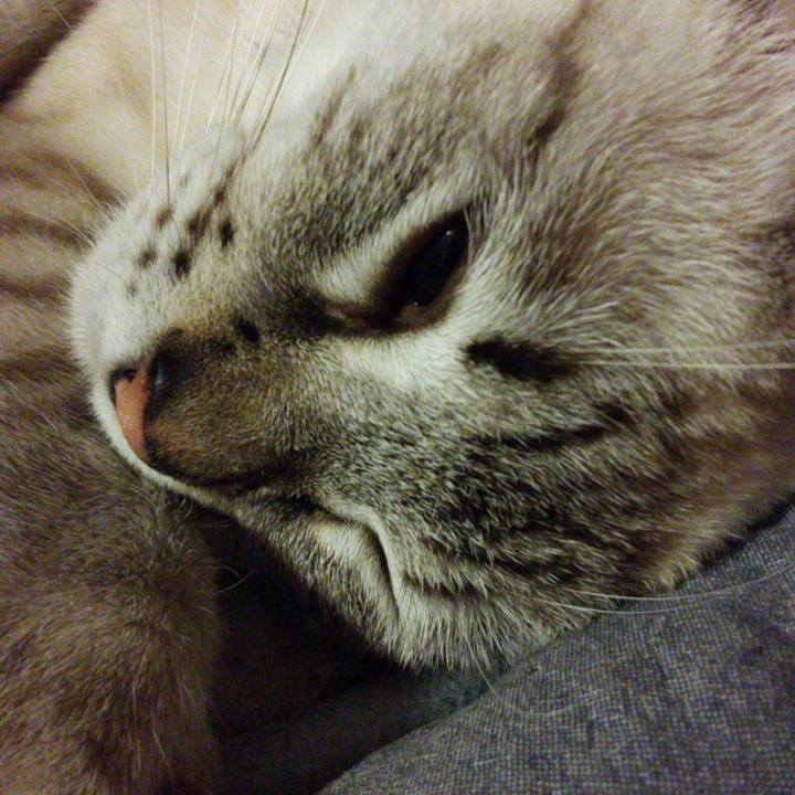 9c2a3be0 a9f8 41f7 93ab 7432e74e09b1