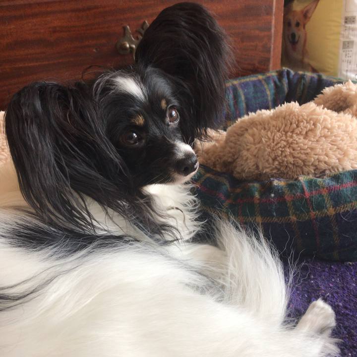 9c2b8dae ace2 4934 a9f3 b4e9e787644c