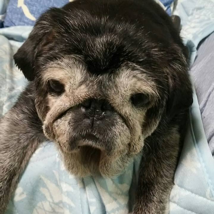 9c2bc514 9a87 4142 bee5 68dbf81fe384