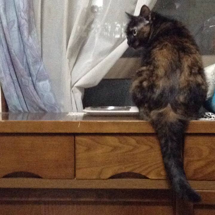 9c2d3f1e 5bd9 4f80 aec1 efcd84c37bc2