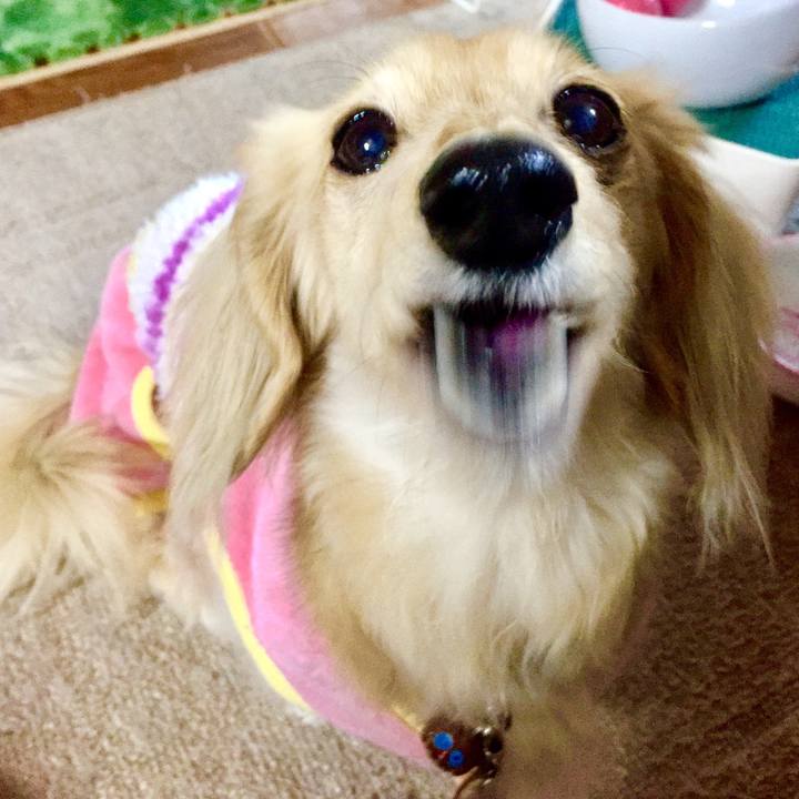 9c2e8992 8bf6 4950 92b3 6835182a38af