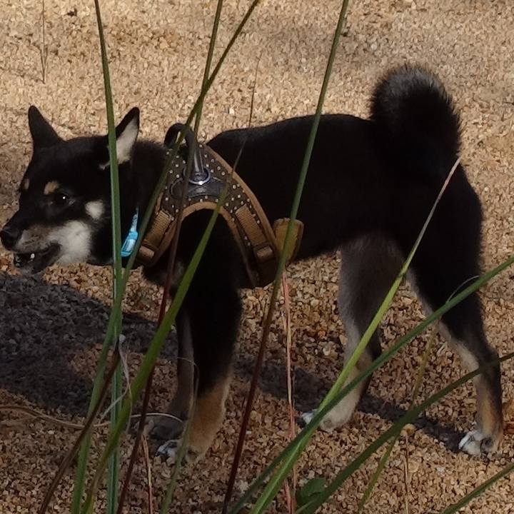 9c2e96e7 d014 4792 8632 2887b34fdafd