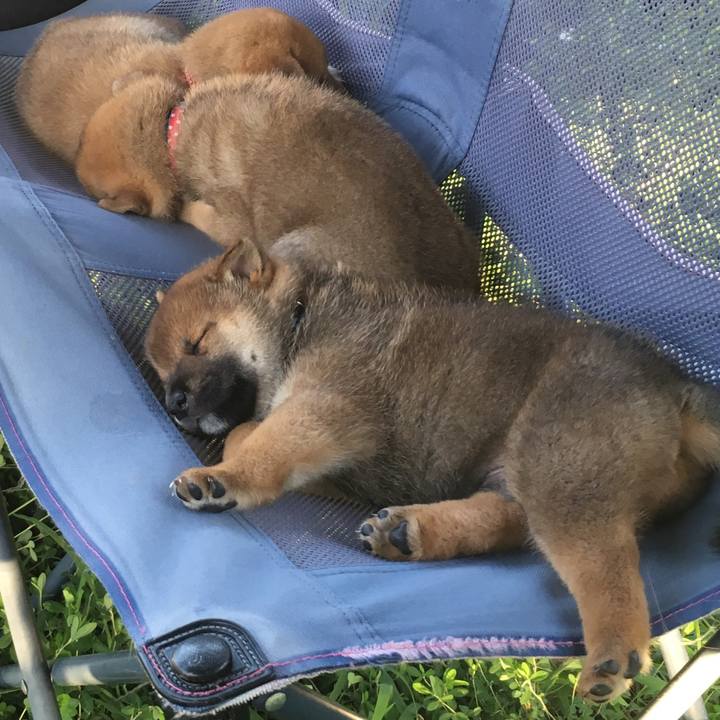 9c2ed395 522d 45d6 bfec ca12289ac24e