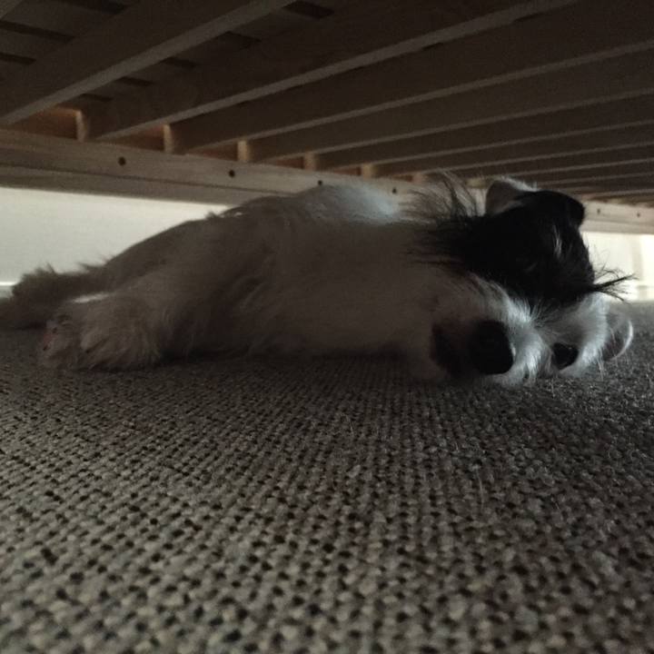 9c2f0768 67c0 416b 86fa 146701e2ac43