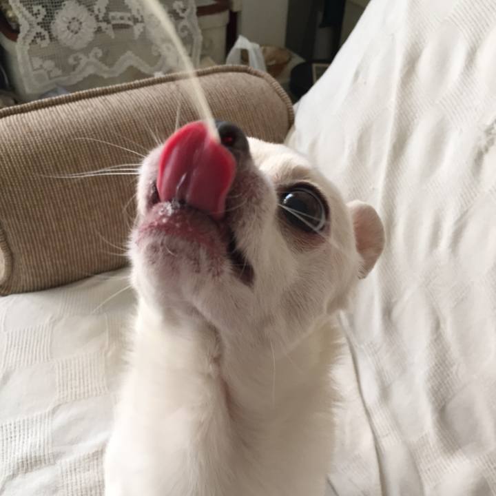 9c2f5ea3 31aa 4eca baea 2afa237b2017