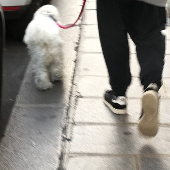 9c2fbc3b e8ed 45b3 b34f 3c2f1679cae7