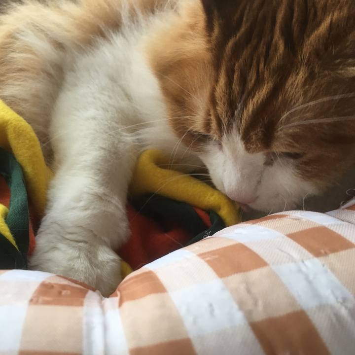 9c2fdb1a 368f 4458 8103 994cbb1fe12b