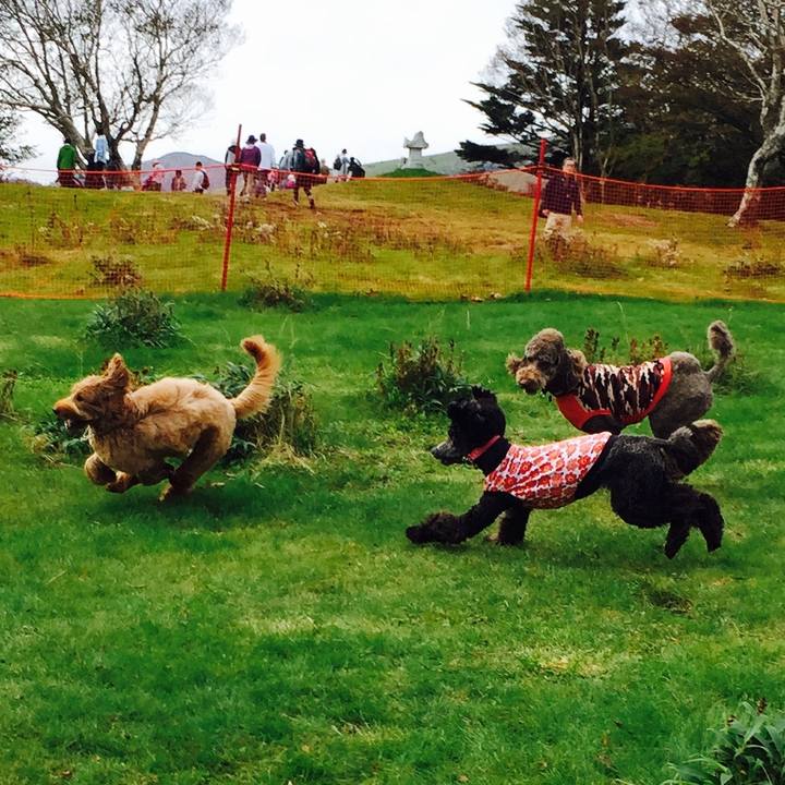 9c3068ae 0c3a 4efa ad58 384a2650d6e8