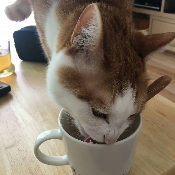 9c30743c 1d2f 4041 b5d8 94270b22fadb