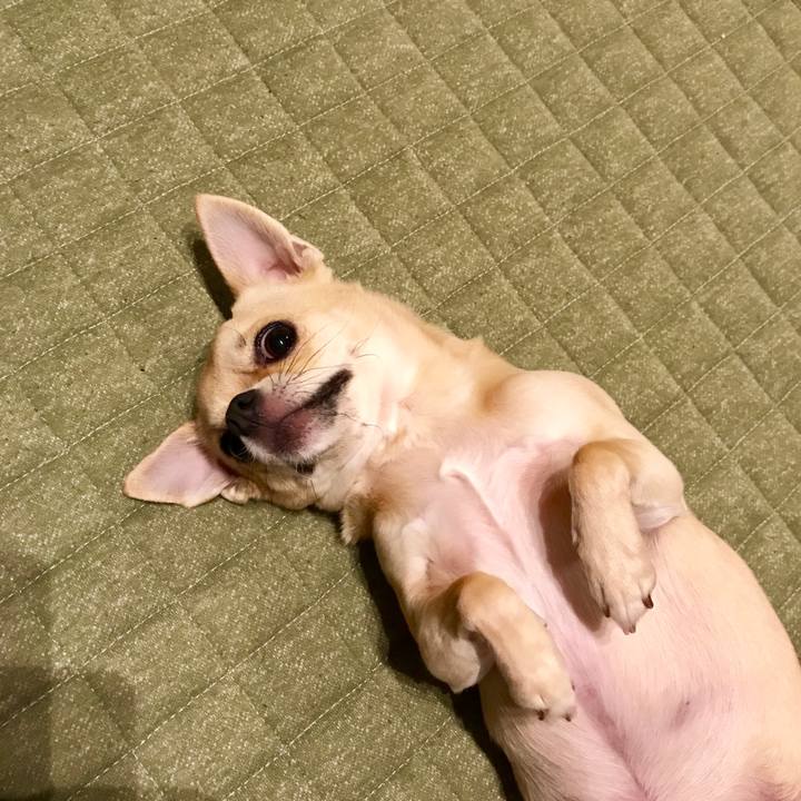 9c308b5e f979 40a8 bea8 6648f8174647