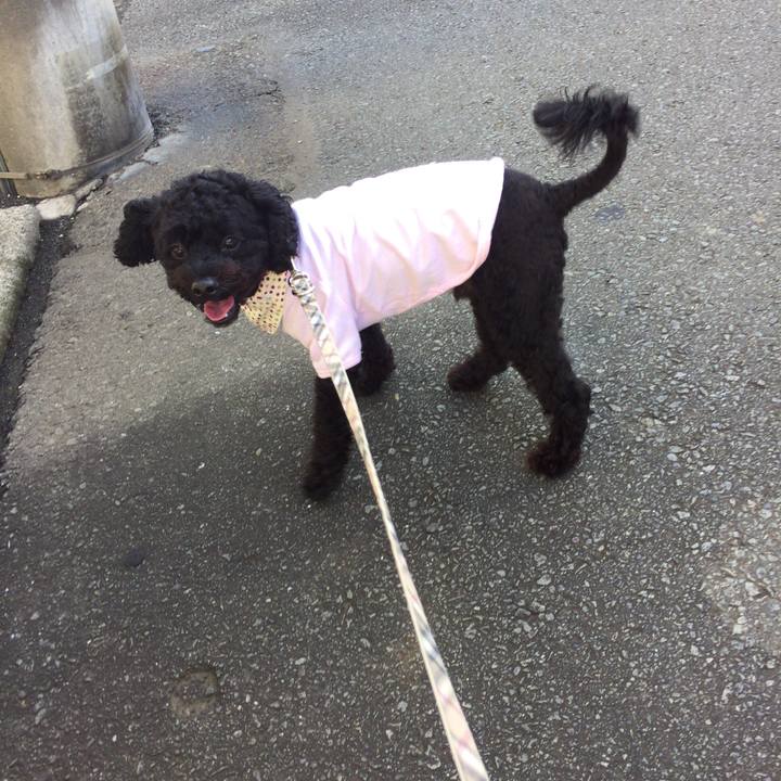 9c309825 e1ce 448b bf18 7b8ae53d2f7f