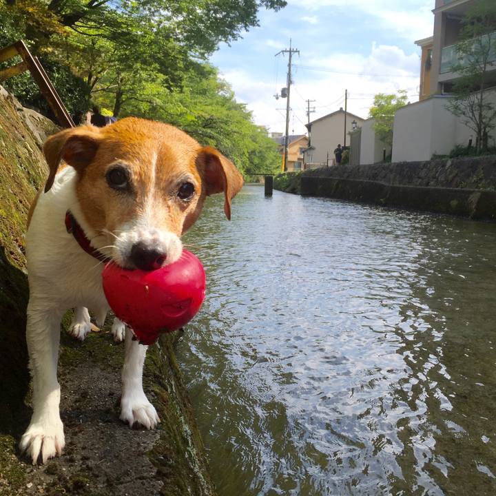 9c30b4bb 3605 4b79 a68b 58ac6e077964