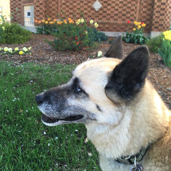 9c310706 d9ca 4cac a712 393f4a98bed8