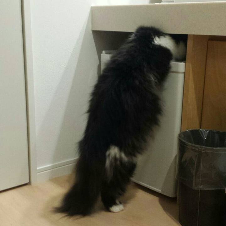 9c311e27 dc53 4d0d bb1a d588f944a47d