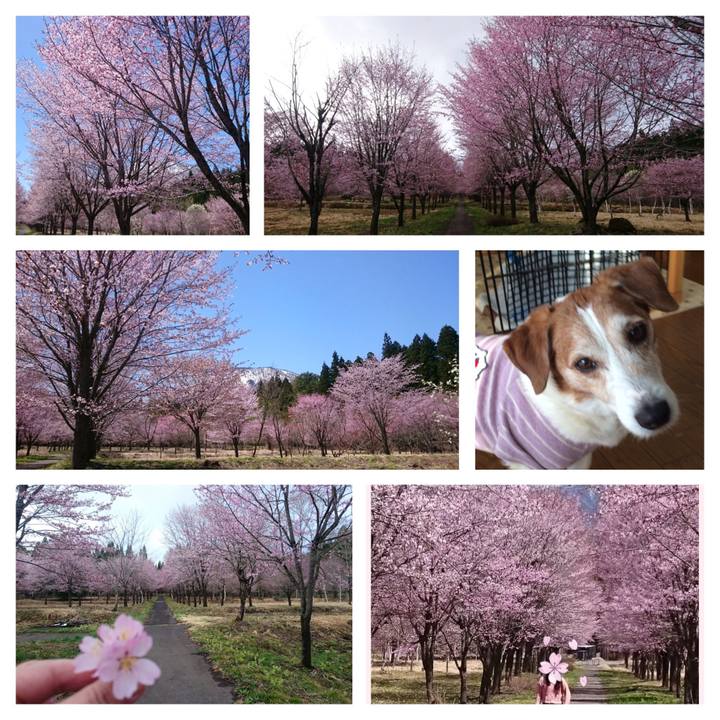 9c31de47 26fa 4edd 82e6 79c36da126df