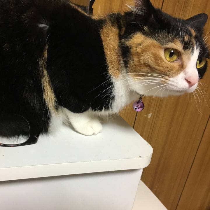 9c327d3a 6d82 46ba 8229 06d269f4f94b