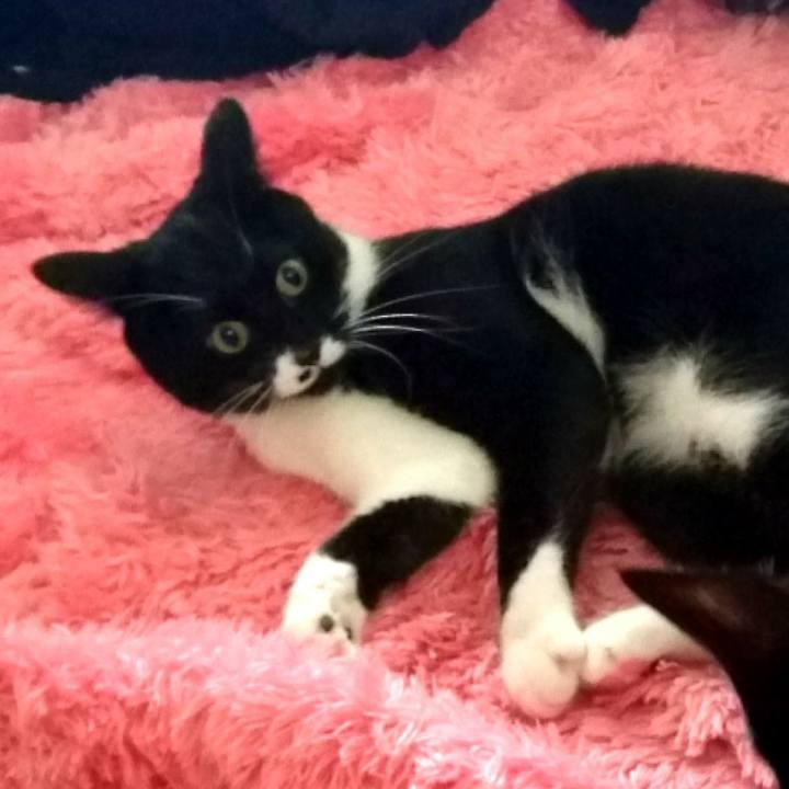 9c32be69 33bc 4771 877f d6c4071c17cf