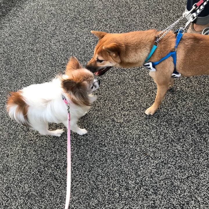 9c3504dc 96d0 4d4e 9d06 2b9844fe6cbf